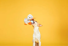 Load image into Gallery viewer, Bark Big Bill & Beak-A-Boo Fish
