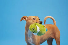 Load image into Gallery viewer, Bark Consuela the Cactus