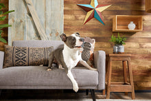 Load image into Gallery viewer, Bark Buck Wild