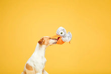 Load image into Gallery viewer, Bark Big Bill & Beak-A-Boo Fish
