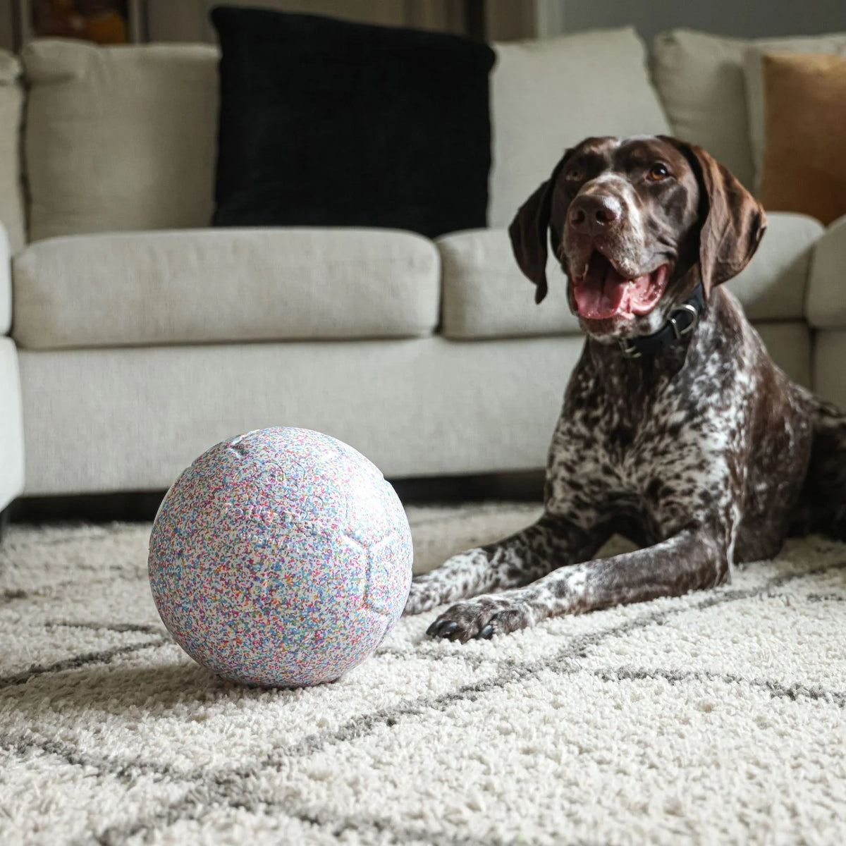 JollyPets Jolly Bean Soccer Ball – Buffalo Barkery