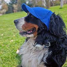 Load image into Gallery viewer, Buffalo Bills Pet Baseball Hat (All Sales Final)