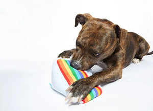 Bark Peace of Cake