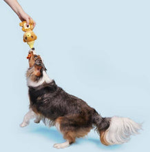 Load image into Gallery viewer, BARK That's My Jam, Honey Plush Dog Toy