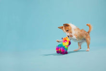 Load image into Gallery viewer, BARK Full O' Fluff Pinata Large