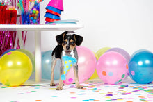 Load image into Gallery viewer, BARK The Party Farter Medium