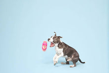 Load image into Gallery viewer, BARK Bubble Gum
