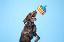 Load image into Gallery viewer, BARK Chewberry Pancakes Plush Dog Toy