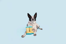 Load image into Gallery viewer, BARK Smelly Wellies