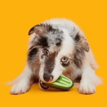 Load image into Gallery viewer, BARK Avocadoggo Super Chewer Dog Toy