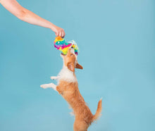 Load image into Gallery viewer, BARK Full O' Fluff Pinata Large