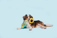 Load image into Gallery viewer, Bark Funflower Seeds Rope Dog Toy