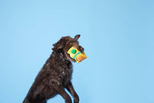 Load image into Gallery viewer, BARK Fresh Squeaked OJ Plush Dog Toy M
