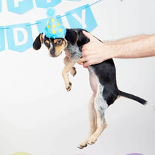 Load image into Gallery viewer, BARK The Party Farter Medium