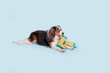 Load image into Gallery viewer, BARK Smelly Wellies
