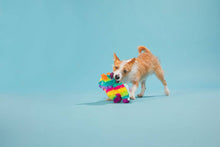 Load image into Gallery viewer, BARK Full O' Fluff Pinata Large