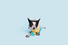 Load image into Gallery viewer, BARK Smelly Wellies