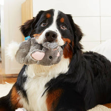 Load image into Gallery viewer, BARK Itty &amp; Bitty the Bunny Slippers
