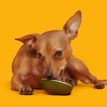 Load image into Gallery viewer, BARK Avocadoggo Super Chewer Dog Toy