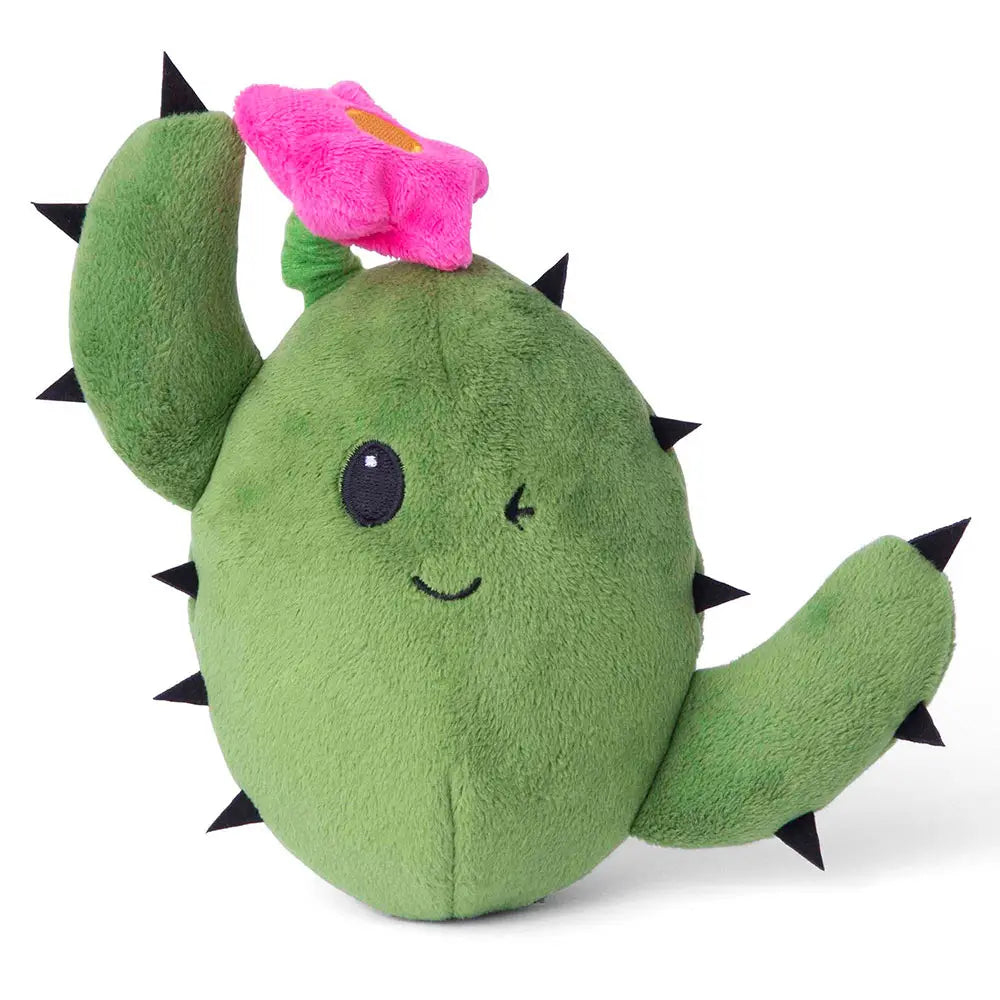 Bark Consuela the Cactus