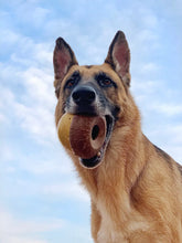 Load image into Gallery viewer, Bark Super Chewer Acornucopia Dog Toy Large