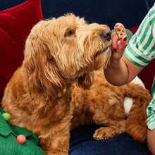 Load image into Gallery viewer, Bocce's Bakery Son of a Nutcracker Bites