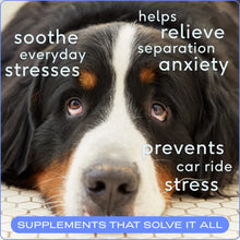 Load image into Gallery viewer, Native Pet Calm Chews Anxiety &amp; Calming Supplement For Dogs