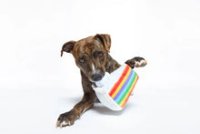 Load image into Gallery viewer, Bark Peace of Cake