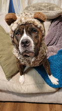 Load image into Gallery viewer, Spoil Gates - an Adoptable Dog