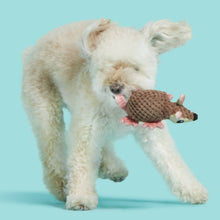Load image into Gallery viewer, BARK Armie Dillo Push Dog Toy XS/S