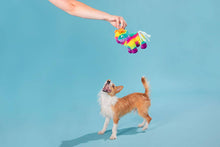 Load image into Gallery viewer, BARK Full O' Fluff Pinata Large