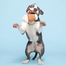 Load image into Gallery viewer, Bark Cup of Bark Roast Plush Dog Toy
