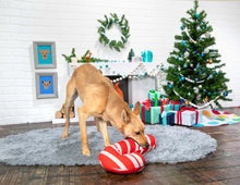 Load image into Gallery viewer, Bark Grandy Cane Plush Dog Toy