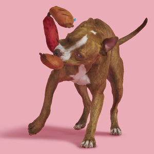 Bark Lickin' Links Plush Dog Toy
