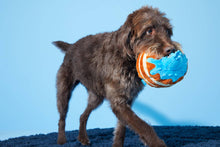 Load image into Gallery viewer, BARK Chewberry Pancakes Plush Dog Toy