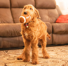 Load image into Gallery viewer, Plush Football Toy