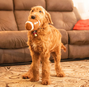 Plush Football Toy