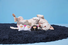 Load image into Gallery viewer, Bark Baa Baa Bark Sheep