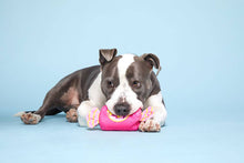 Load image into Gallery viewer, BARK Bubble Gum