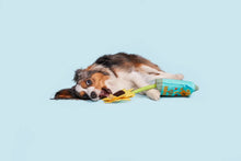 Load image into Gallery viewer, Bark Funflower Seeds Rope Dog Toy
