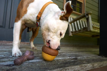 Load image into Gallery viewer, Bark Super Chewer Acornucopia Dog Toy Large