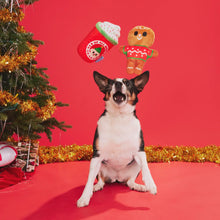 Load image into Gallery viewer, Bark Ginger Brew Crew Dog Toy