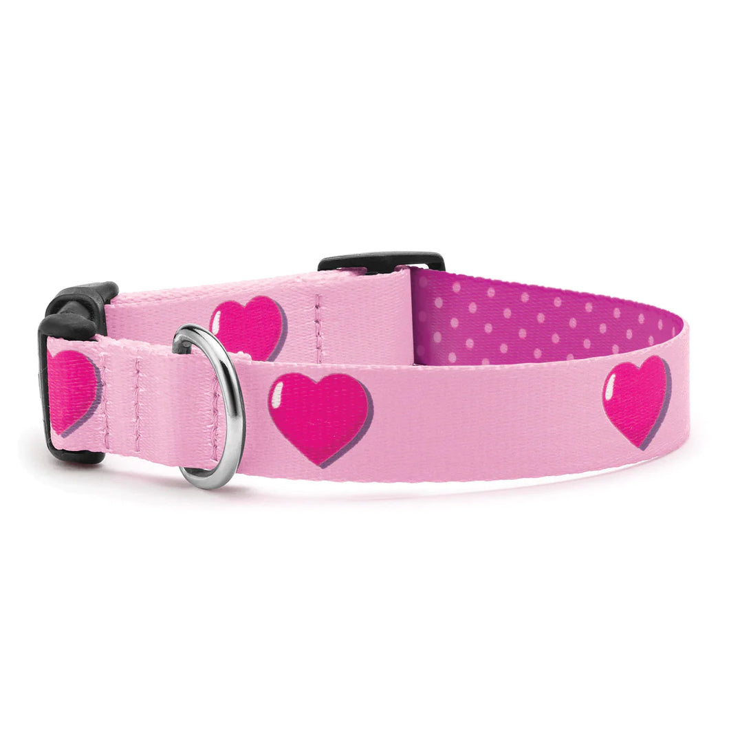 Up Country Sport  Anime Hearts Dog Collar