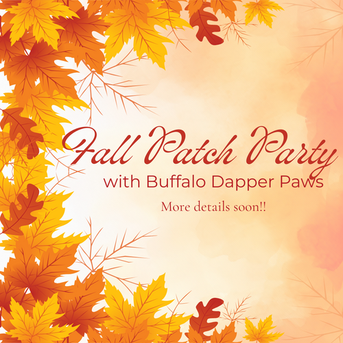 Fall Themed Bandana Patch Party September 20