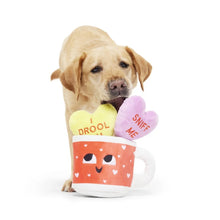 Load image into Gallery viewer, Dog holding a mug with heart-shaped toys inside on a white background