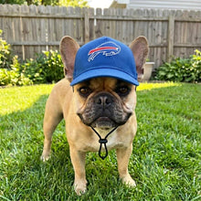 Load image into Gallery viewer, BUFFALO BILLS PET CAP