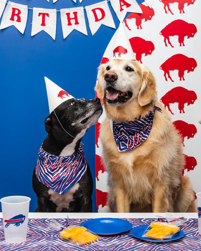 Birthday Parties (Non-Refundable Deposit Only)