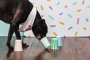 Birthday Parties (Deposit Only)