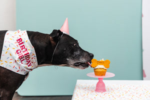 Birthday Parties (Deposit Only)