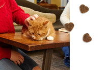 Load image into Gallery viewer, Bocce&#39;s Bakery Crispy Chickn Crunchy Cat Treats